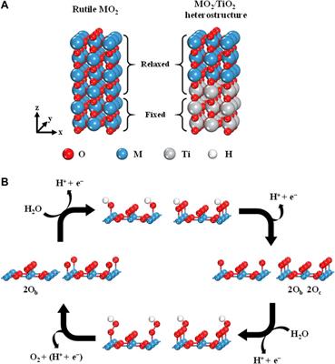 First-Principles Design of Rutile Oxide Heterostructures for Oxygen Evolution Reactions